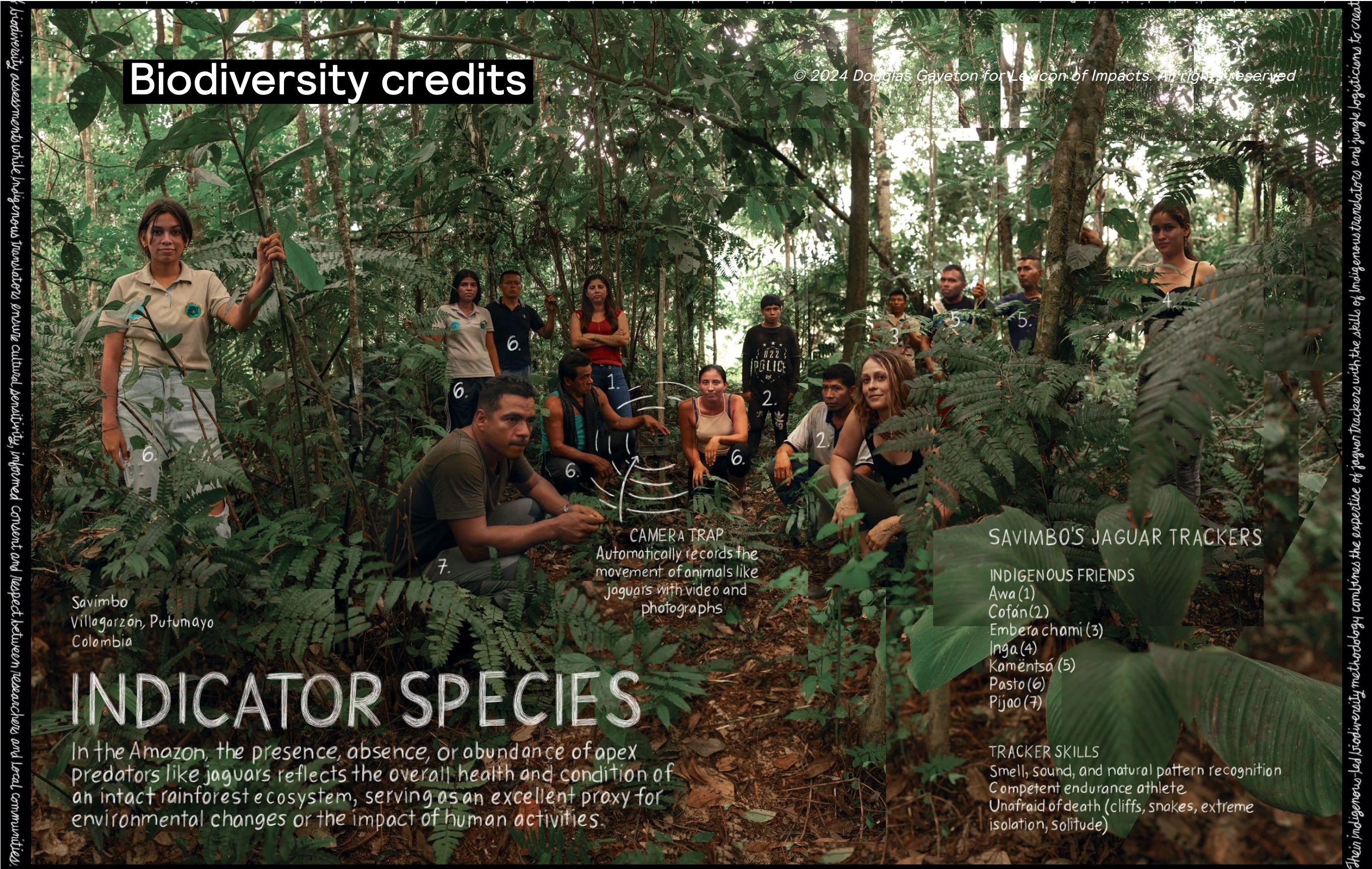 Savimbo Indicator Species Biodiversity Methodology